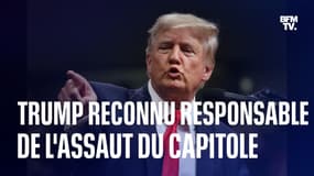 Donald Trump doit être tenu comme responsable de l'assaut du Capitole, selon la commission d'enquête parlementaire américaine