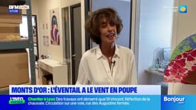 Monts d'Or: l'éventail de plus en plus populaire pour contrer les effets de la chaleur