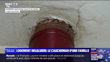 Moisissure, humidité... Le cauchemar d'une famille qui vit dans un logement insalubre