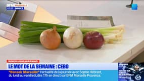 Bouon Jour Marsiho: “cebo”, le mot de la semaine