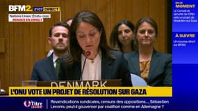 "La famine à Gaza a été confirmée", affirme le Danemark au conseil de sécurité de l'ONU