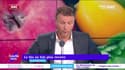 La Minute Conso : Le bio ne fait plus recette - 07/09
