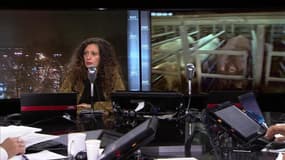 Cause animale: les revendications des ONG 