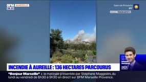 Incendie dans les Alpilles: 136 hectares parcourus, le feu ne progresse plus