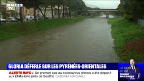 La tempête Gloria déferle sur les Pyrénées-Orientales