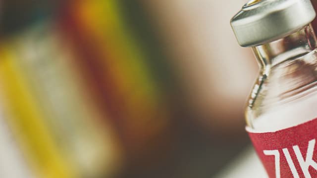 Le virus Zika est un arbovirus de la famille des Flaviridae, transmis à l'homme par les moustiques du genre Aedes.