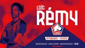Loic Remy au LOSC