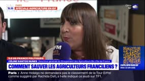 Agriculture: Céline Santos Nunes, directrice générale du Groupement des agriculteurs bio d'Île-de-France, plaide "pour une communication grand public"