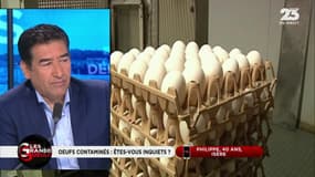 Les GG veulent savoir: L'affaire des œufs contaminés touche la France - 08/08
