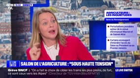 Un Salon de l'agriculture "sous haute tension" pour certaines personnalités politiques, selon les renseignements territoriaux 