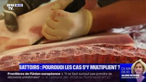 Pourquoi les cas de coronavirus se multiplient dans les abattoirs ?