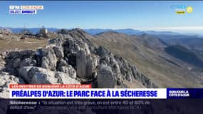 Préalpes d'Azur: le parc face à la sécheresse