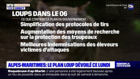 Alpes-Maritimes: le plan loup 2024-2029 dévoilé ce lundi