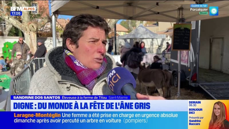 Digne-les-Bains: le succès de la Fête de l'Âne Gris