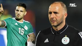 Algérie : Delort ? "C'est la grosse blague de l'année" attaque Belmadi