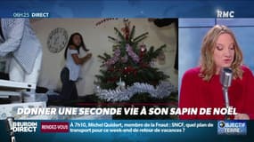 Objectif Terre : Donner une seconde vie à son sapin de Noël - 03/01