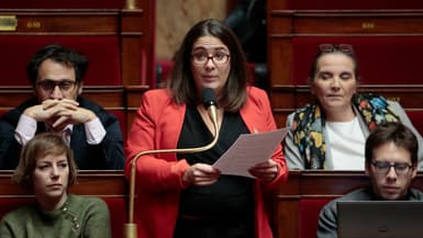 Ségolène Amiot à l'Assemblée nationale le 22 novembre 2022 