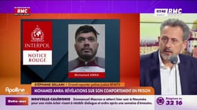 Mohamed Amra a "géré un enlèvement" depuis sa prison, raconte Stéphane Sellami, grand reporter police-justice BFMTV