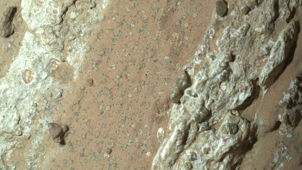 Łazik NASA Perseverance pobiera próbki skał, które mogą zawierać dowody na istnienie życia drobnoustrojów
