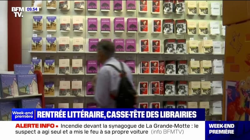 Rentrée littéraire: avec 459 nouveaux romans cette année, les distributeurs et les librairies s'affairent