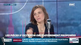 Dupin Quotidien : Les garagistes doivent proposer obligatoirement des pièces d'occasion - 03/04