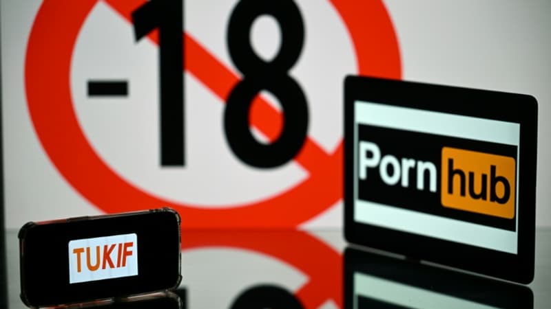 Pornographie: la Cnil n’est pas opposée à l’analyse faciale pour vérifier l’âge des internautes