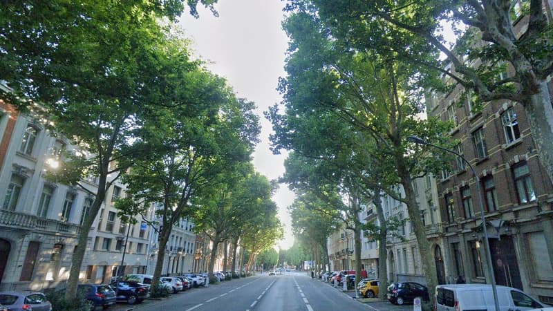Le boulevard Bigo-Danel, à Lille.