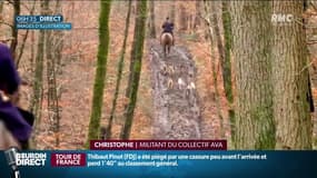 "Ils font une activité légale, encadrée, en permanence perturbée", cinq chasseurs devant la justice après des violences contre des militants anti-chasse à courre