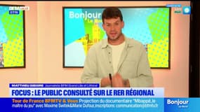 Le focus: le public consulté sur le RER régional