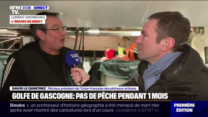 Pour protéger les dauphins, la pêche est suspendue dans le golfe de Gascogne durant un mois, créant la colère de certains professionnels