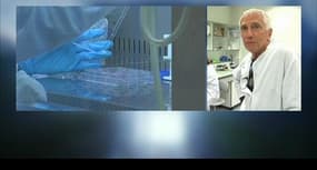 Spermatozoïdes fabriqués in vitro: "Cela pourrait résoudre 30 à 50% des problèmes d'infertilité masculine"