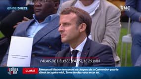 Convention pour le climat: vers un référendum pour inclure la protection de l'environnement dans la Constitution?