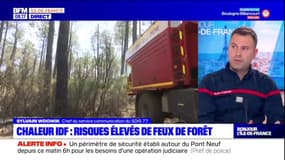 "N'allumez pas de feu en forêt ce week-end": les sapeurs-pompiers appellent à la prudence face aux risques élevés de feux