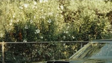 Derrière la Mustang, la Gran Torino est l'autre muscle car de Ford.