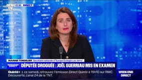 Députée droguée: pour Marine Tondelier (EELV), il serait "logique" que le sénateur Joël Guerriau démissionne 