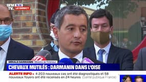 Chevaux mutilés: selon Gérald Darmanin, "il y a 153 enquêtes ouvertes, dans plus de la moitié des départements"