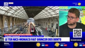 Nice-Monaco: la liaison en train vivement critiquée, des propositions pour faciliter la circulation