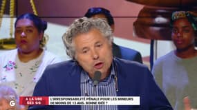"L’ensauvagement des mineurs est général. Je me fous de la législation européenne. Cette mesure est irresponsable !"