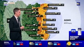 Météo Alsace: un ciel un peu voilé ce samedi, 8°C à Strasbourg et à Colmar cet après-midi