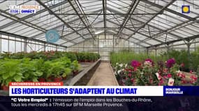 Marseille: les horticulteurs contraints de s'adapter au climat