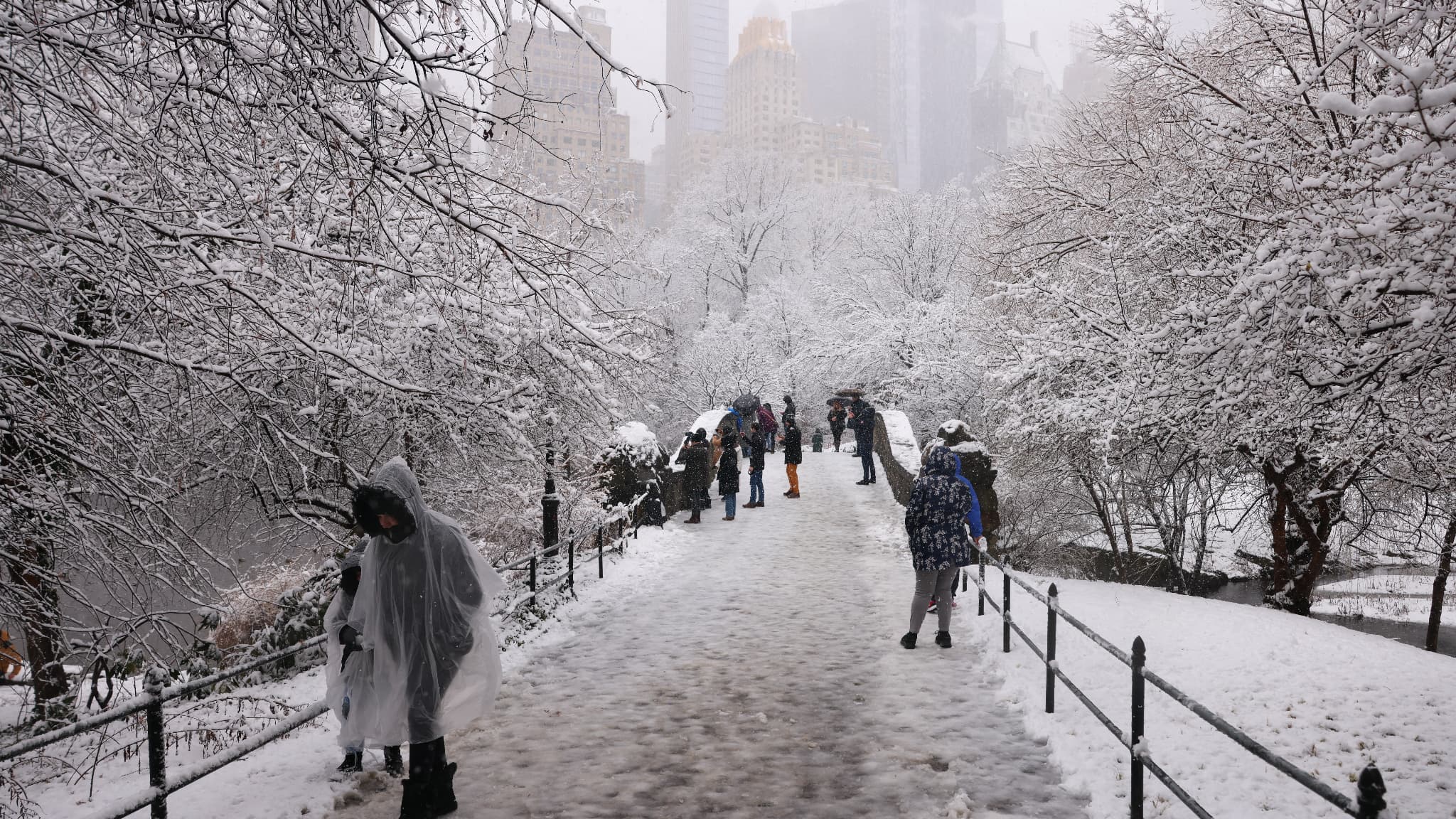 Des personnes marchent dans la neige qui tombe à Central Park le 13 février 2024 à New York.