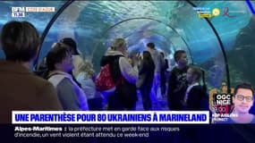 Antibes: 80 réfugiés ukrainiens invités à visiter Marineland