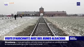 Des lycéens d'Haguenau en visite à Auschwitz 