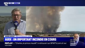 Le maire de Narbonne annonce qu'un camping vient "d'être évacué en raison du risque de propagation de l'incendie"