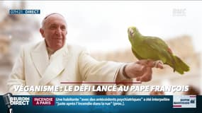 Dupin Quotidien : Véganisme, le défi lancé au pape François - 06/02