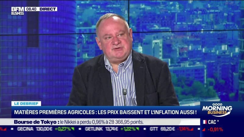 Le debrief : Matières premières agricoles, les prix baissent et l'inflation aussi - 07/07