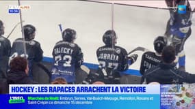 Ligue Magnus: l'Alp'Arena a vibré derrière les Rapaces de Gap contre Cergy-Pontoise