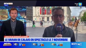 Nord: le varan de Calais en spectacle le 7 novembre 