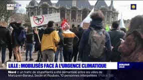 Lille: 1500 personnes ont manifesté ce dimanche pour réclamer des mesures contre le réchauffement climatique