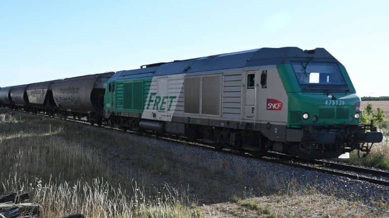 Fret SNCF risque de devoir rembourser une dette de 5,3 milliards d'euros considérée par la Commission européenne comme une aide d'Etat illégale, ce qui mettrait cette entreprise immédiatement en faillite